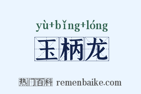 玉柄龙是什么意思的图片